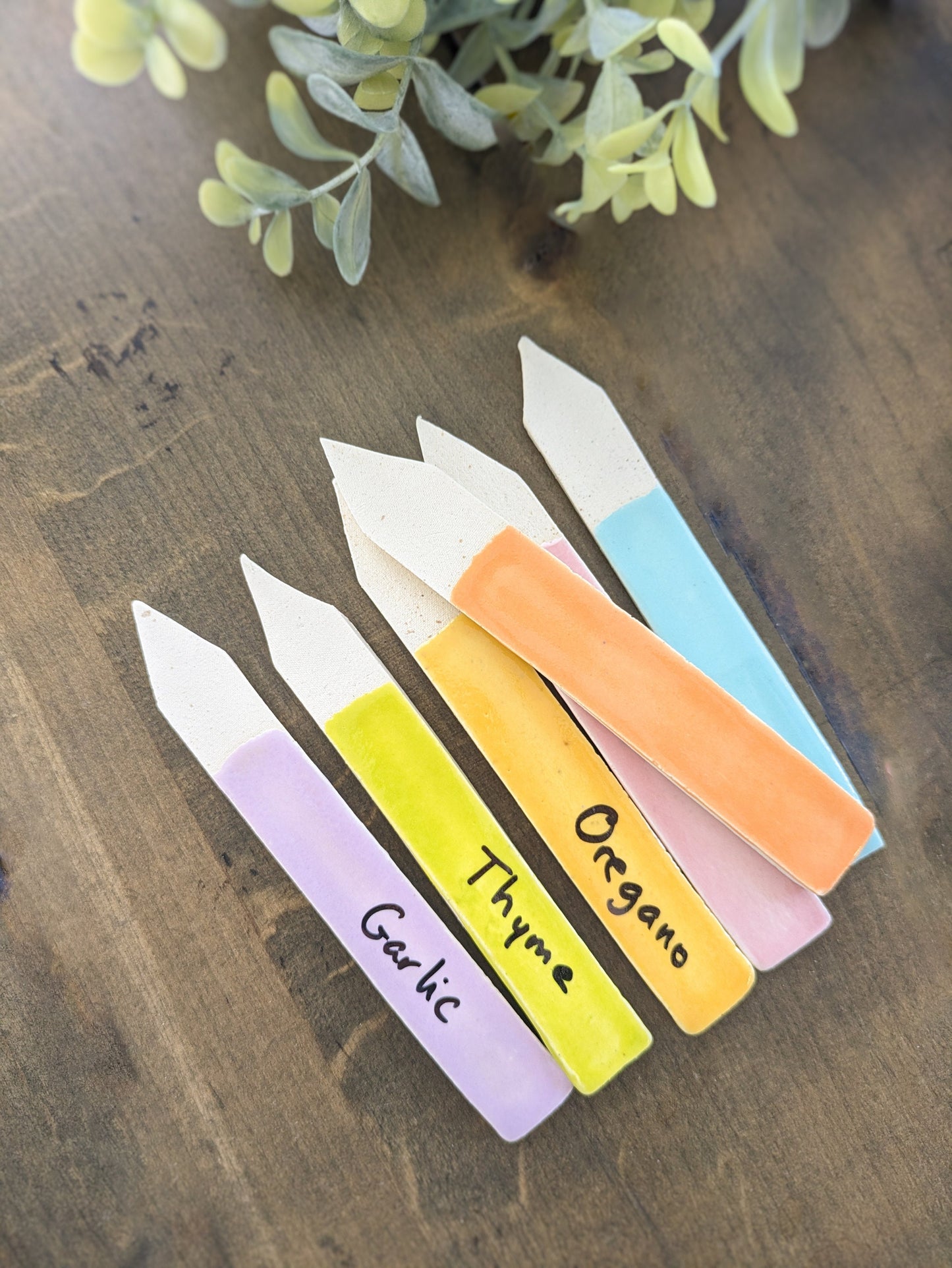 May include: Six pastel-colored ceramic plant markers arranged on a dark brown wooden surface. Each marker is shaped like a pointed rectangle with a white top and a colored bottom. The colors include light purple, yellow, light orange, and light blue. Handwritten text on each marker identifies the plant: Garlic, Thyme, Oregano.